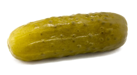 خیارشور