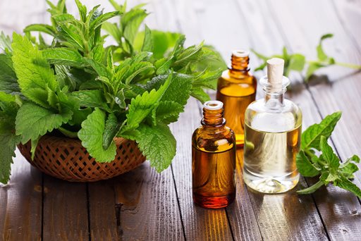 Mint essential oil