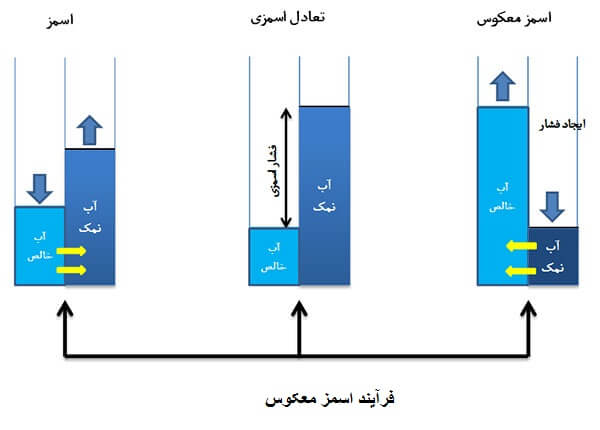 اسمز_معکوس