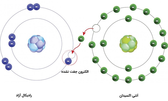 رادیکال_آزاد