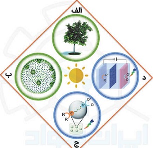 فتوکاتالیست