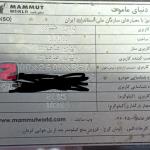 اناق باری فلزی شرکت ماموت نو نو