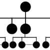 طرح هرمی کریپتو تب