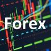 تعریف بازار مالی فارکس (FOREX MARKET)