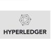 هایپر لجر (Hyperledger) چیست؟ تکنولوژی بلاک چین برای کسب و کارها