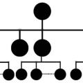 طرح هرمی کریپتو تب