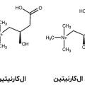 تعریف ال کارنیتین