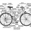 اصطلاحات دوچرخه و دوچرخه سواری