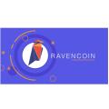 ریون کوین (Ravencoin) چیست؛ توکنی محبوب برای ماینرها